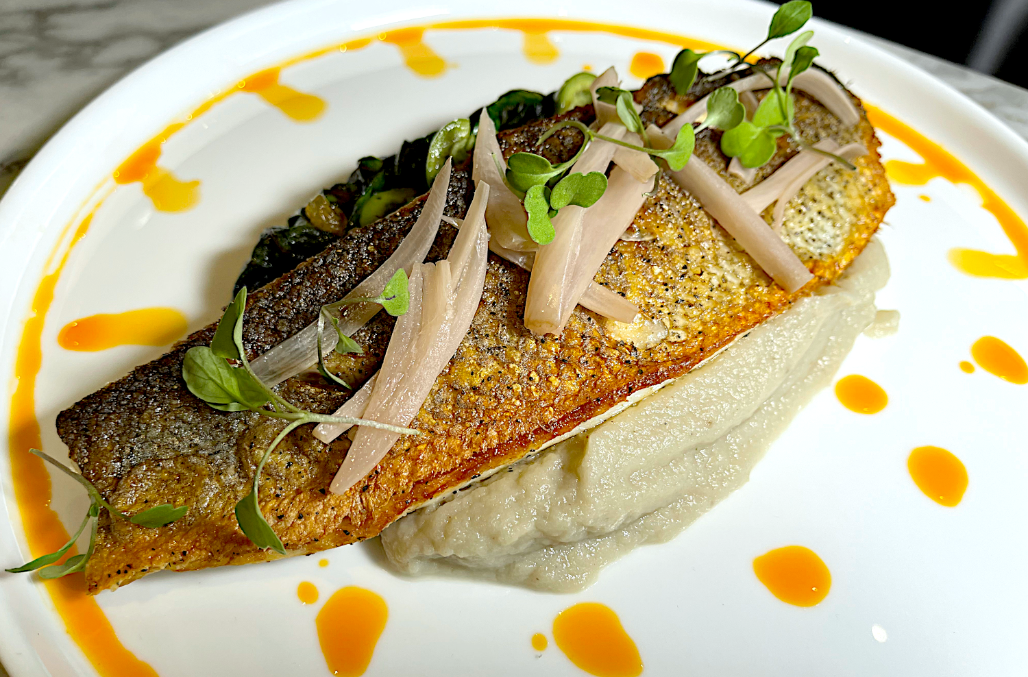 Sahra Bronx house-made hummus and roasted eggplant spreads in NYC